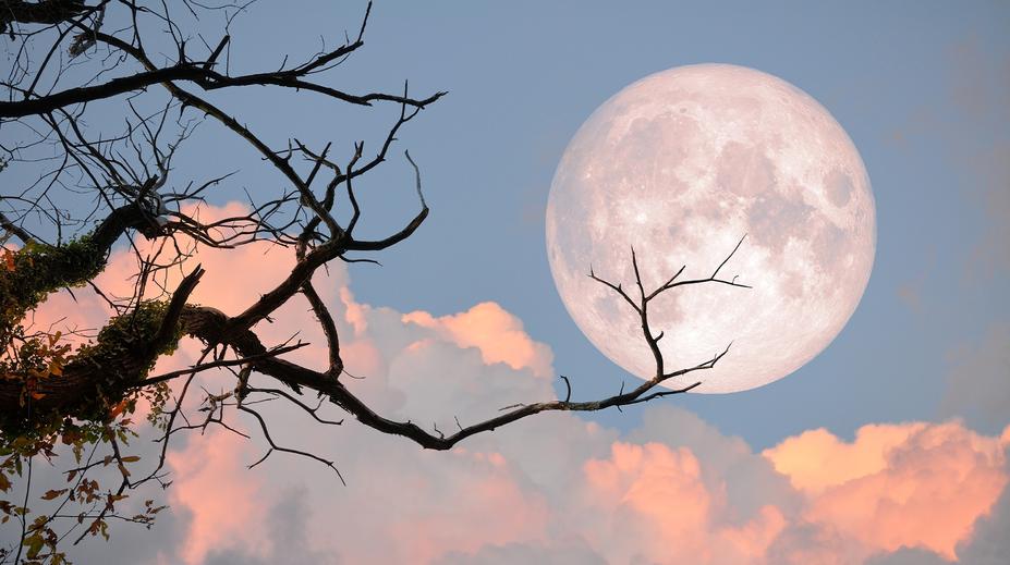 První superúplněk roku přijde už v lednu. Doprovodí ho meteorický roj