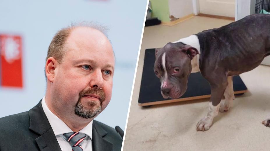 Soud Tejce odbyl. Podmínka za týrání psa je přiměřená, muž byl v těžké životní situaci