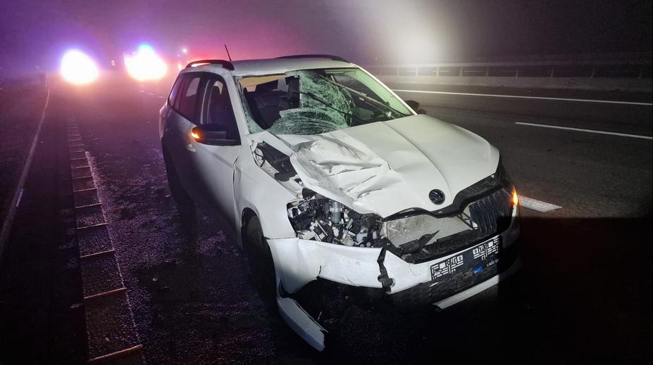 Tragická nehoda na D3. Muž přebíhal dálnici, po střetu s autem zemřel