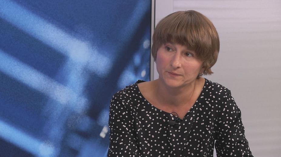 Zemské volby v Německu: Vítězství AfD se dalo očekávat, říká Lizcová