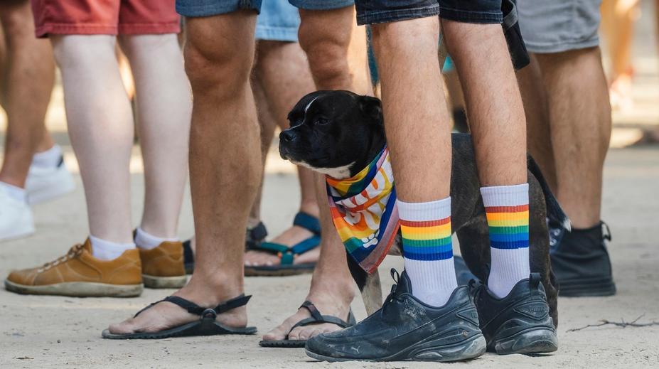 Prahou projde průvod Prague Pride. Organizátoři očekávají 45 tisíc účastníků