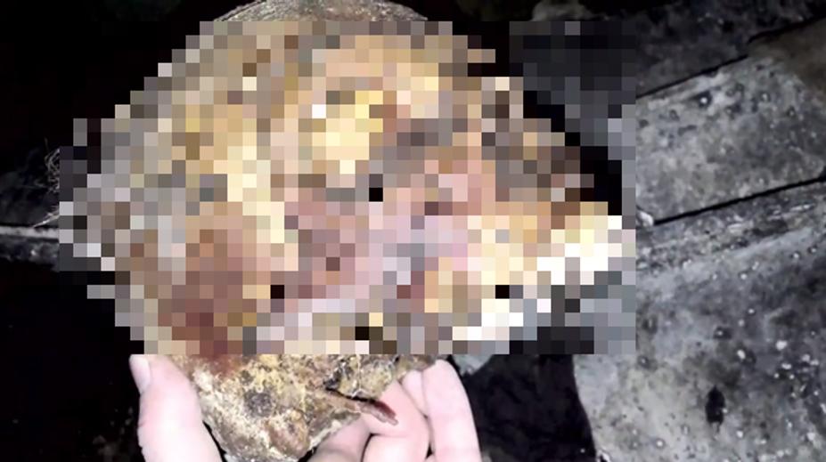 Mladík vlezl do hrobu a natočil si video s mrtvolou. Už ho má policie