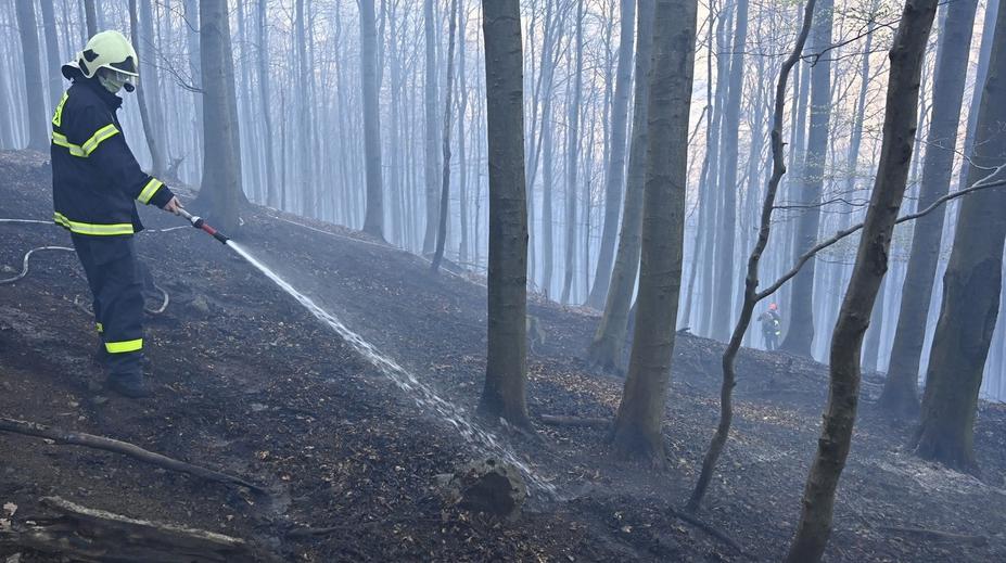 Na Šumavě hoří les. S ohněm bojují desítky hasičů, platí třetí stupeň poplachu
