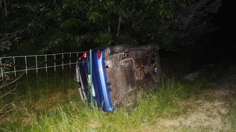 Kvůli dvěma psům se na dálnici zranil motorkář a převrátilo auto