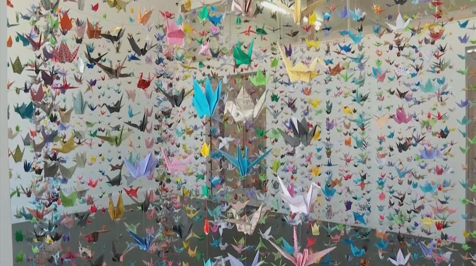Umění z papíru. Žena vytváří origami na památku obětem koronaviru