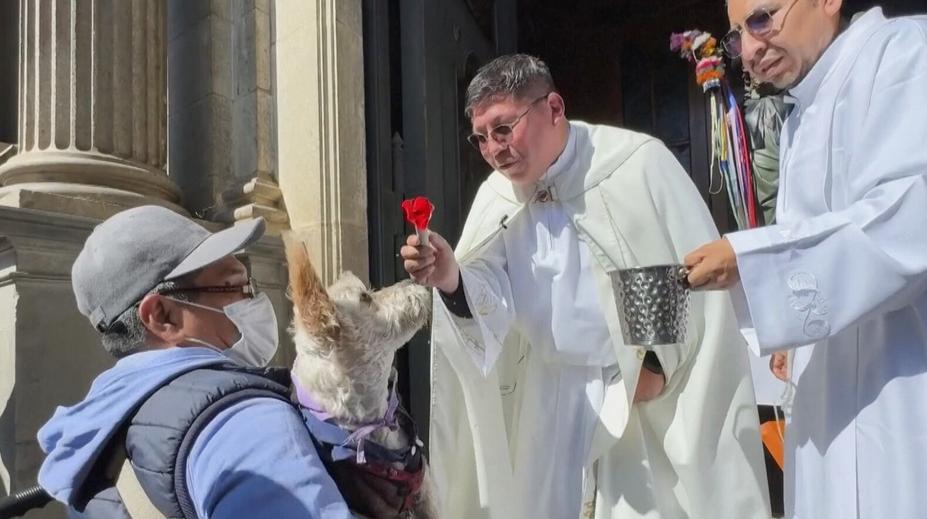 Kostýmy, závody i požehnání od kněze. Bolívie ožila svátkem psů