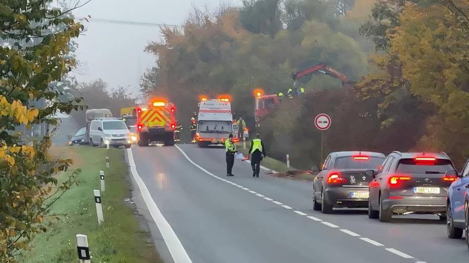 Dramatická nehoda u Prahy: Kamion na silnici srazil dva koně