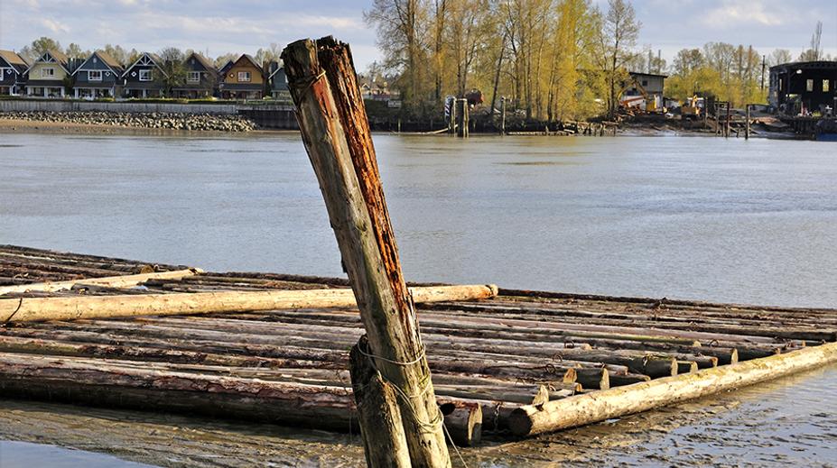 Česko slaví velký úspěch. Na seznam UNESCO zapsalo neobvyklou tradici