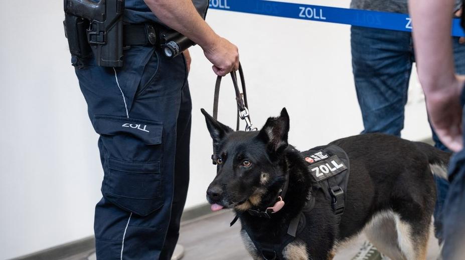 Pavoučí pohroma na letišti. Nemohli jsme tomu uvěřit, řekl celník po otevření kufru
