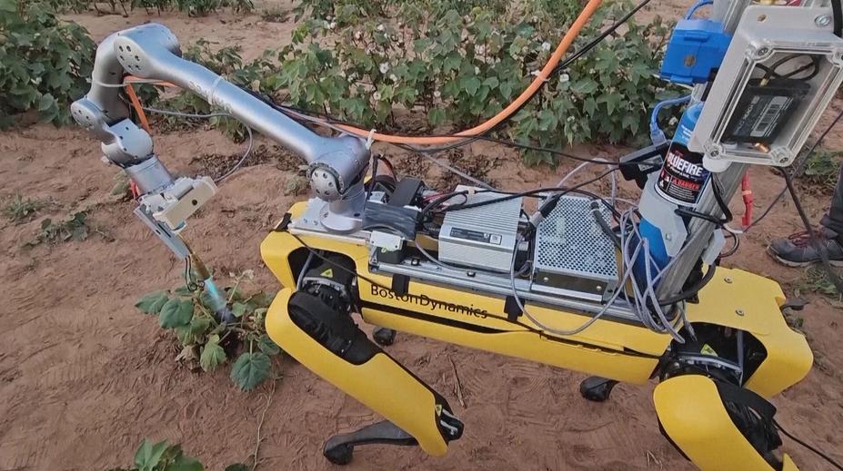 Seznamte se, toto je Spot. Psí robot umí pomáhat zemědělcům
