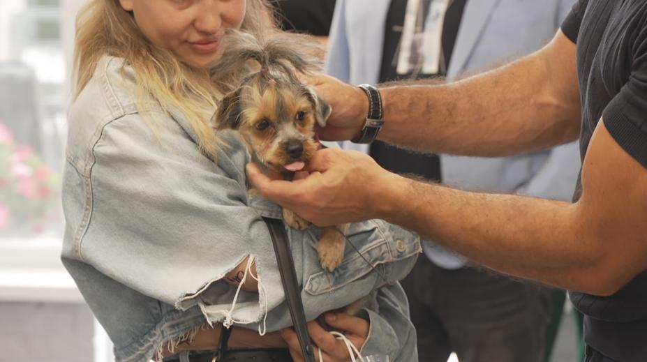 V Karlovarském kraji otevřeli novou veterinární kliniku. Má fungovat nonstop