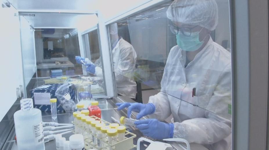 Vědec se chlubí přepsanou DNA dětí, experty jeho pokus děsí!