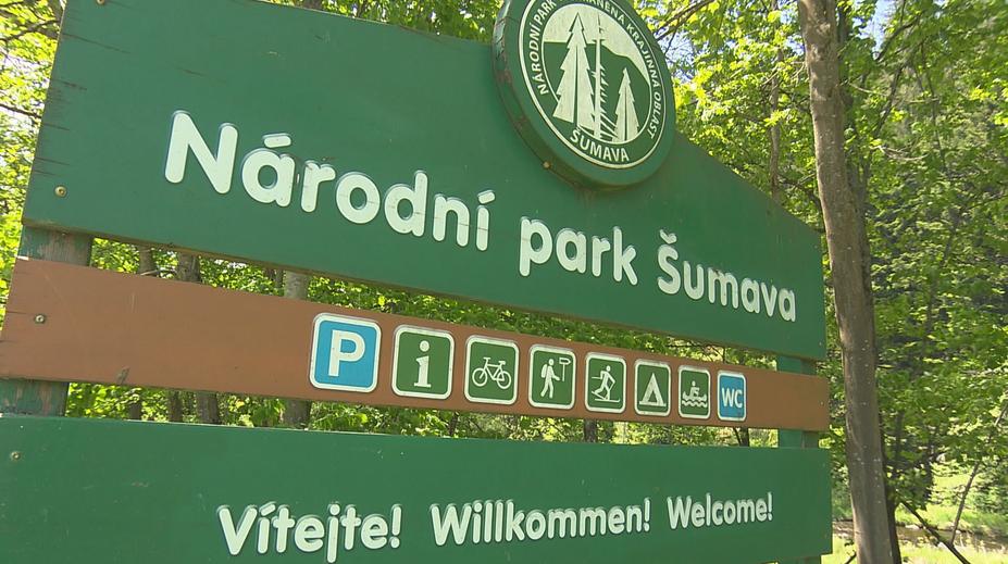 Herci z Policie Modrava prozradili, jestli lidé ničí Národní park Šumava