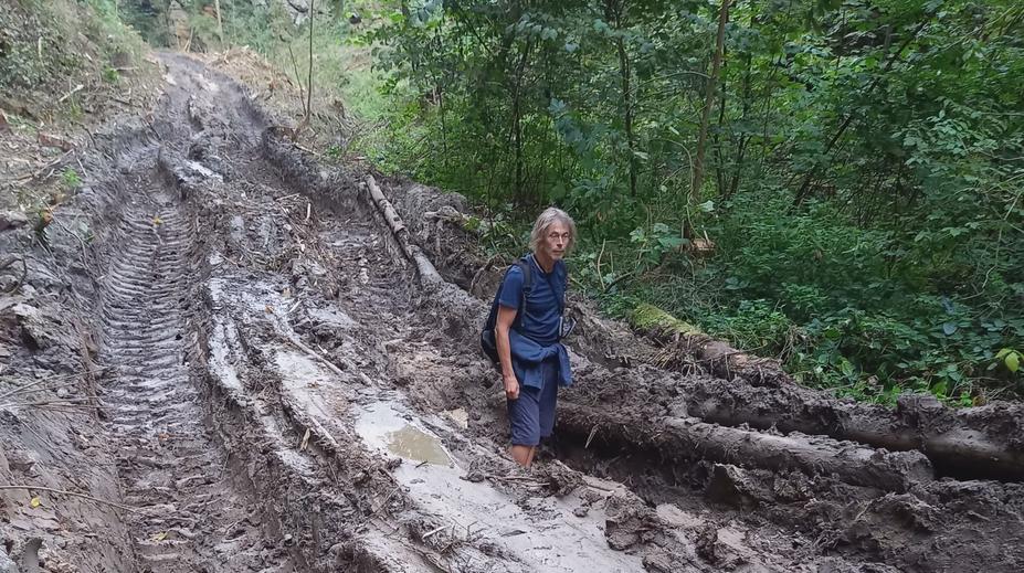 Obec vykácela údolí u známého hradu. "Brutální zásah" zuří ekologové