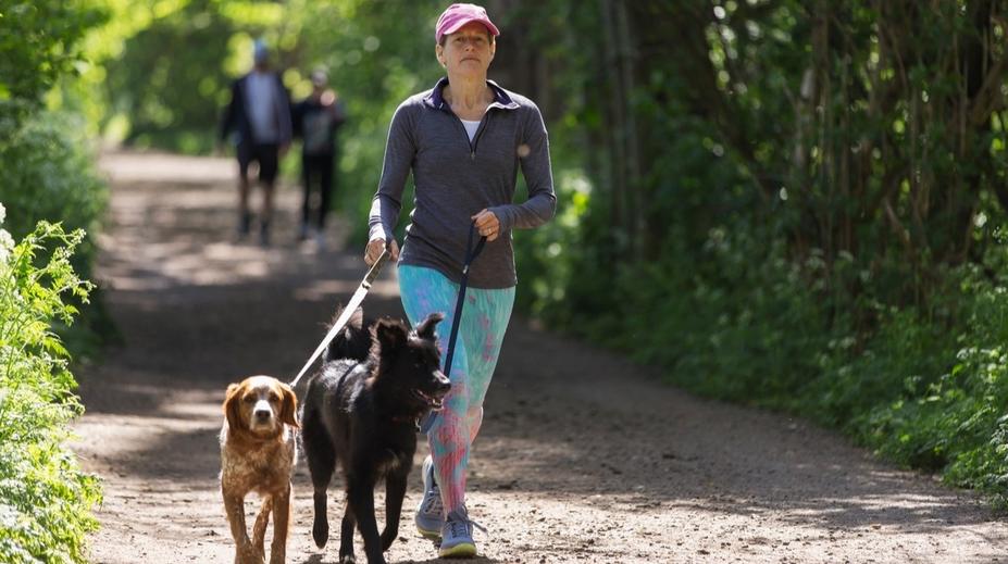 Pejskaři pozor! V pražském parku řádí travič, psům tam nechává nástrahy
