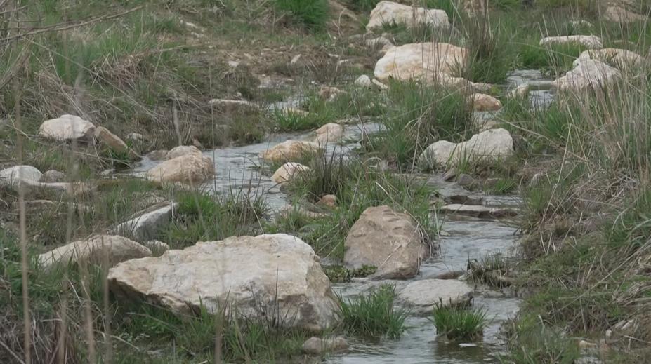 Přibývá projektů pomáhajících přírodě zvládat sucho. Jeden je u Tábora