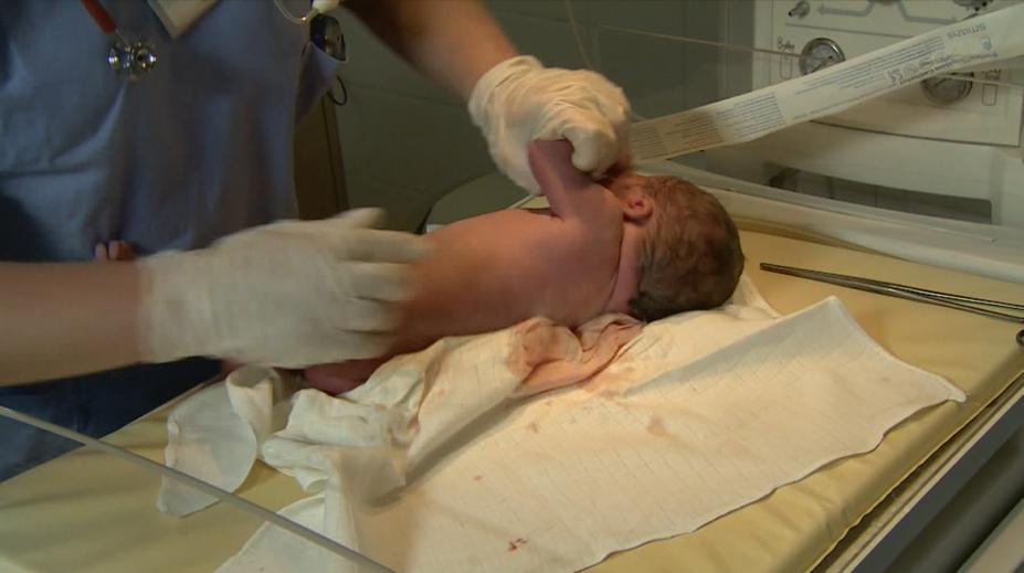 Píseckou porodnici čeká proměna. Rodičky se mohou těšit na více pohodlí a soukromí