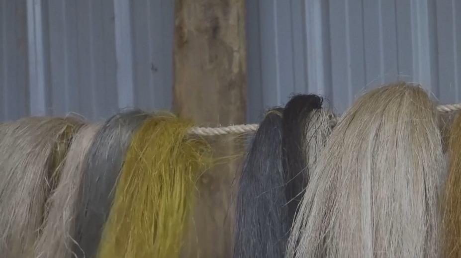 Exportní hit Afriky? Paruky z banánových slupek si chválí kadeřníci i klienti