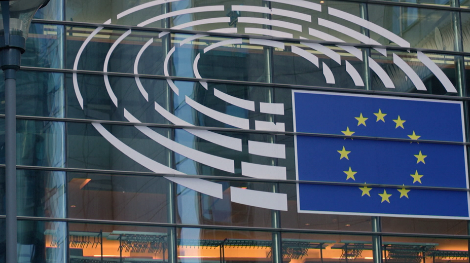 Eurovolby 2019: Před 5 lety přišel konec ČSSD, místo si vybojovali Piráti a SPD