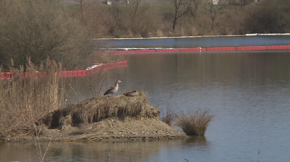 Vláda prodloužila stav nebezpečí v Hustopečích. Sanace půdy potrvá půl roku