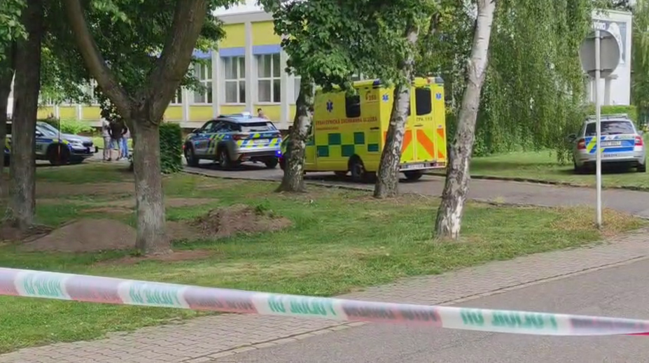 Policie uvolnila nové detaily k brutální vraždě dívky. Mladíkovi hrozí mírnější trest