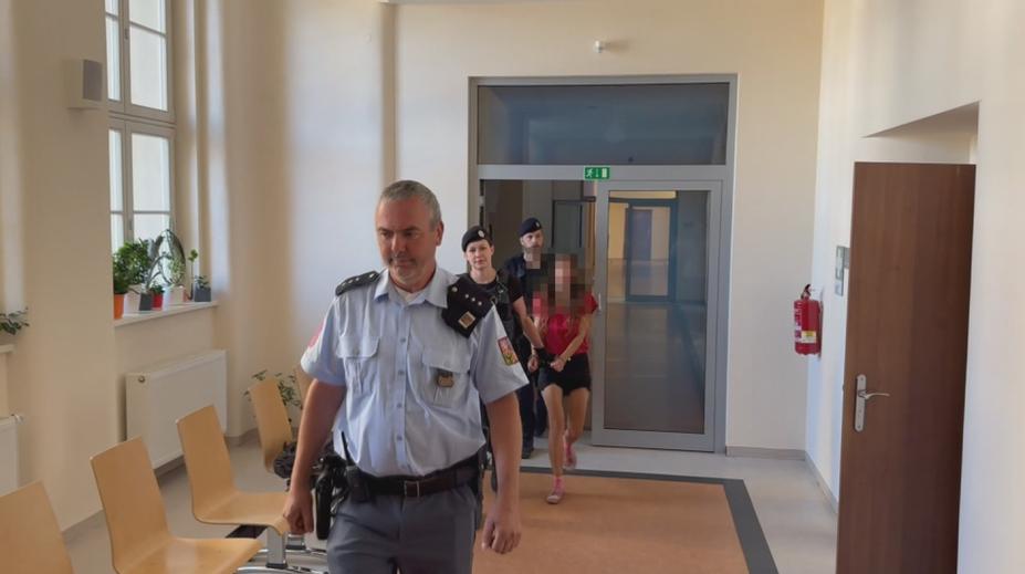 Agresivní bezdomovkyni z Jihlavy prověří psychiatři. Obhájce brojí proti vazbě