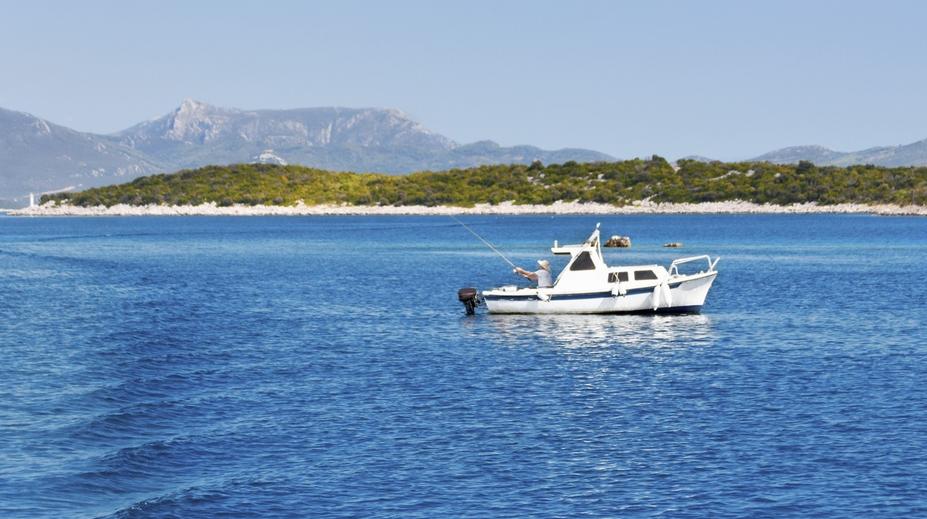U Chorvatska potkali v moři třímetrového žraloka. Vynořil se vedle lodi