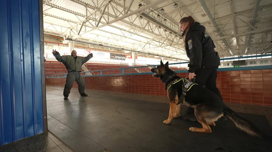 Čtyřnozí policisté trénovali ve Slaném. Figurant v obleku se pořádně zapotil