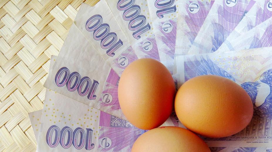 Cena vajec letí nahoru, před Vánocemi zdraží ještě víc!