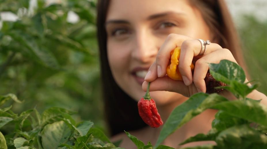 Varna: Místo pro milovníky nočního života, ale i vyznavače chilli papriček