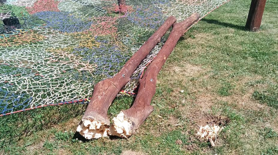 Na děti v zooparku u Mělníka spadl kůl. Zraněné skončily v nemocnici