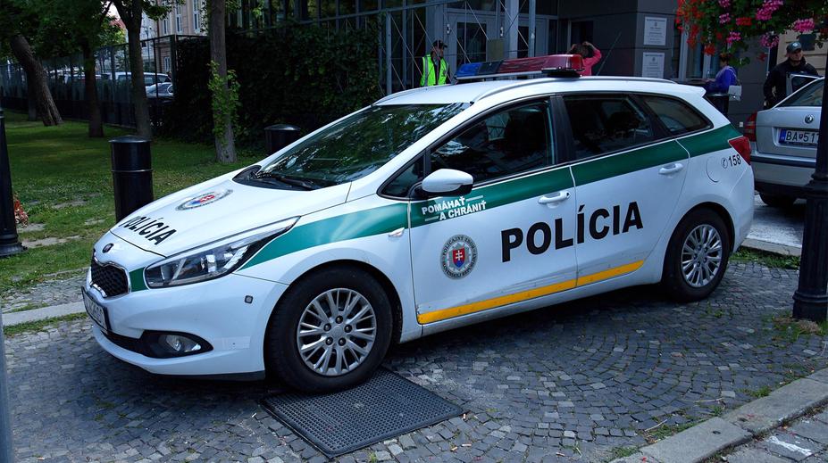 Ohavný čin na Slovensku. V řece našli utopenou fenku s pytlem na hlavě
