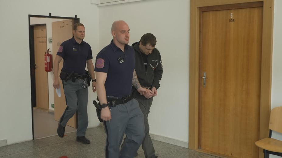 Tyran z Lounska dostal 15 let vězení. Nic podobného jsem neviděl, řekl soudce