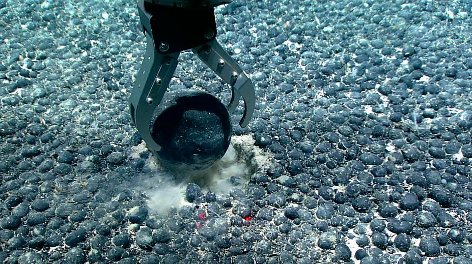 Všechno je jinak. Klíč k přežití lidstva je na dně oceánu, zjistili vědci