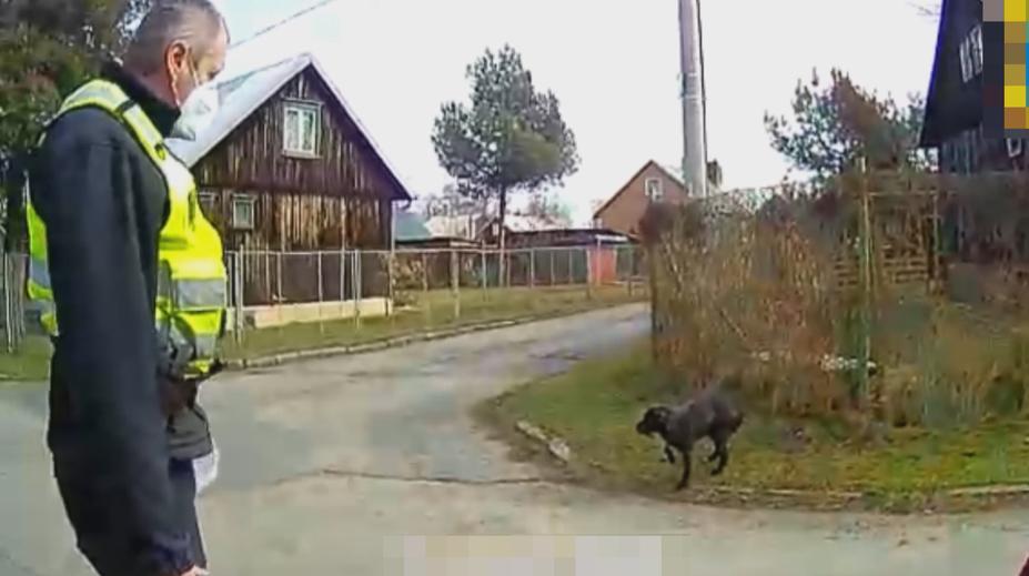 V Ostravě našli zbídačeného psa. Páníček mu svazoval packy, aby neutíkal