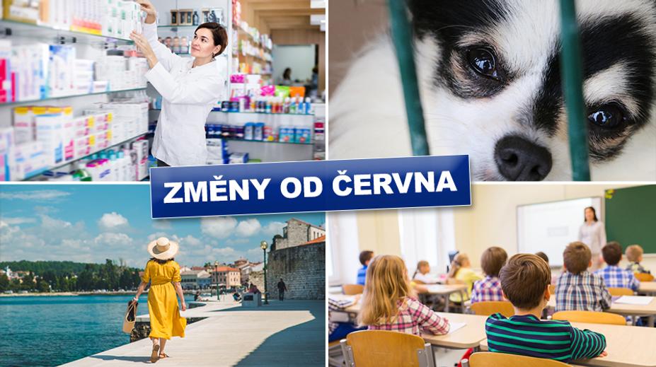 Vyšší tresty za týrání, nová žádost o ošetřovné. Tohle se od června mění