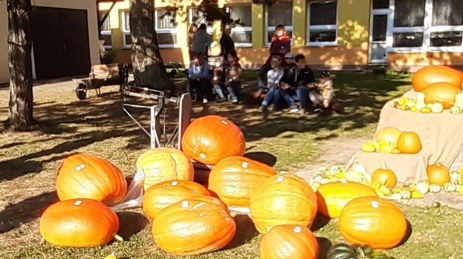 Pěstitelé se utkali v soutěži o nejtěžší dýni. Vítězná tykev vážila 48 kilo