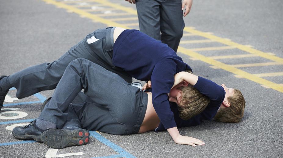 Policie na Plzeňsku řeší hned tři drsné útoky mezi dětmi. Napaden byl i 7letý chlapeček