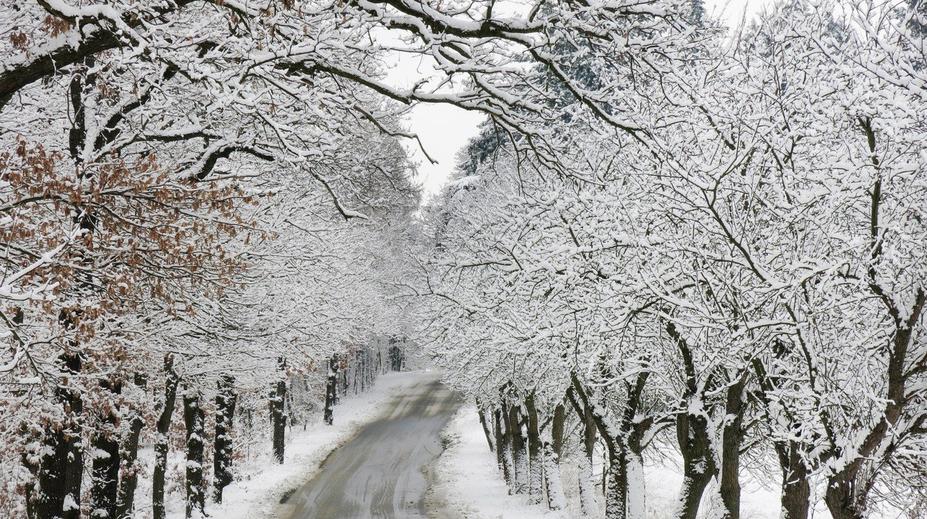 VÝSTRAHA ČHMÚ: Meteorologové varují před náledím
