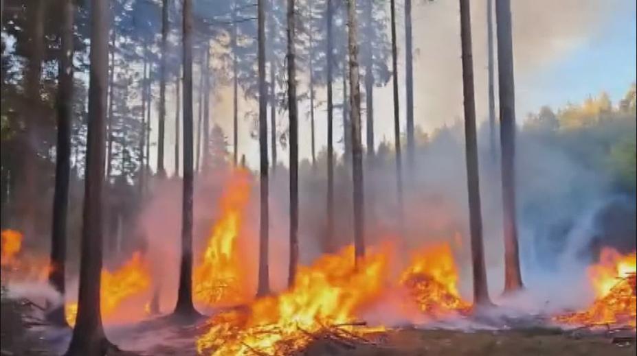 Les na Svitavsku zachvátil požár. Ve hře je nedbalost i úmyslné založení