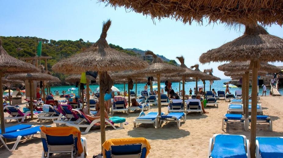 Na Mallorce vypukla panika. Lidi kousaly rybky, tekla krev