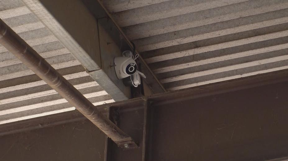 Nový zákon nařizuje instalaci kamer na jatkách. Má zabránit týrání zvířat