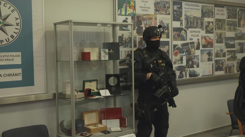 Daňová kobra? Žádný speciální útvar, je to unikátní metoda policie