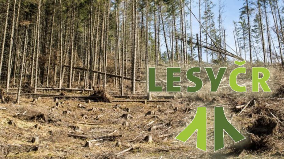 Šéfem Lesů ČR bude Vojáček. Ve funkci byl už za předchozí Babišovy vlády