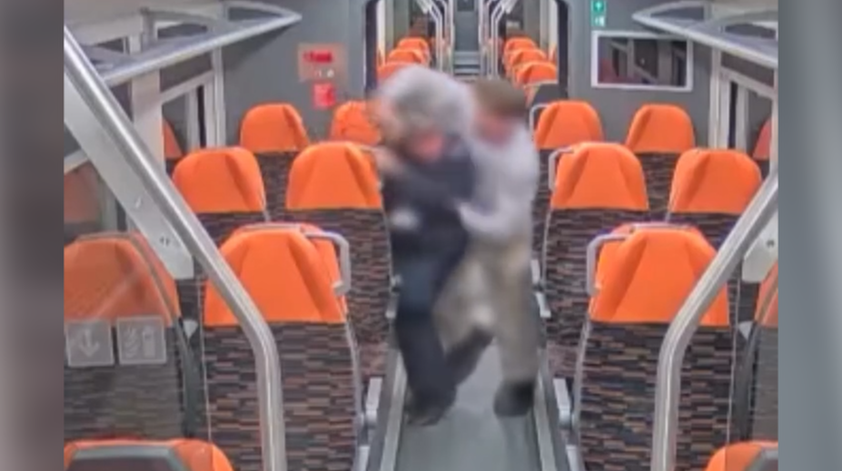 Brutální napadení ženy ve vlaku. Černý pasažér smýkal s vlakvedoucí za vlasy