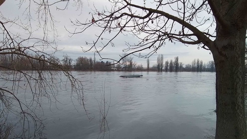 Molo, které se utrhlo na Labi