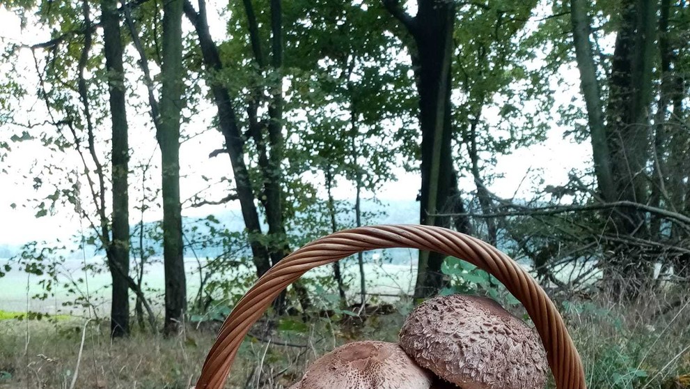 Fotografie hub od čtenářů TN.cz - 9