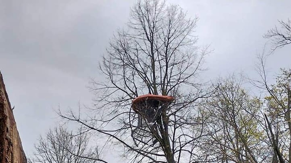 V Nejepíně na Havlíčkobrodsku nejspíš řádilo tornádo