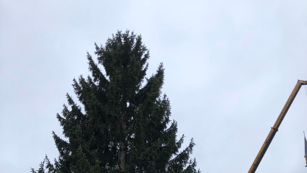 Vánoční strom na Staroměstském náměstí - 3