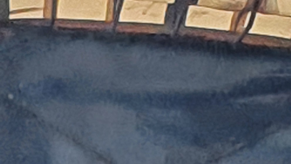 Přeprava koní - 3